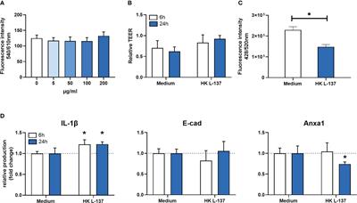 From a cell model to a fish trial: Immunomodulatory effects of heat-killed Lactiplantibacillus plantarum as a functional ingredient in aquafeeds for salmonids